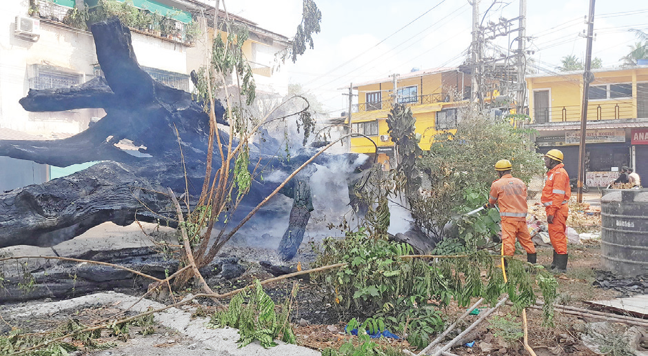 Recurring Grass Fires Alarm Taleigao Residents; Authorities Struggle to Contain Blazes