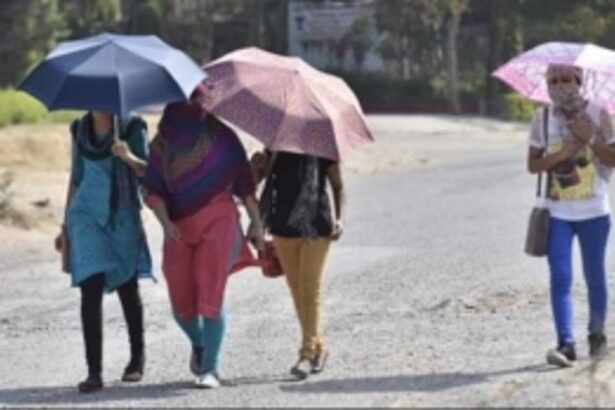 Red Alert Issued Across North India Due to Heatwave