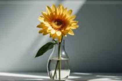 Rediscovering Life Beyond Screens: Embracing Simplicity in a Digital Age