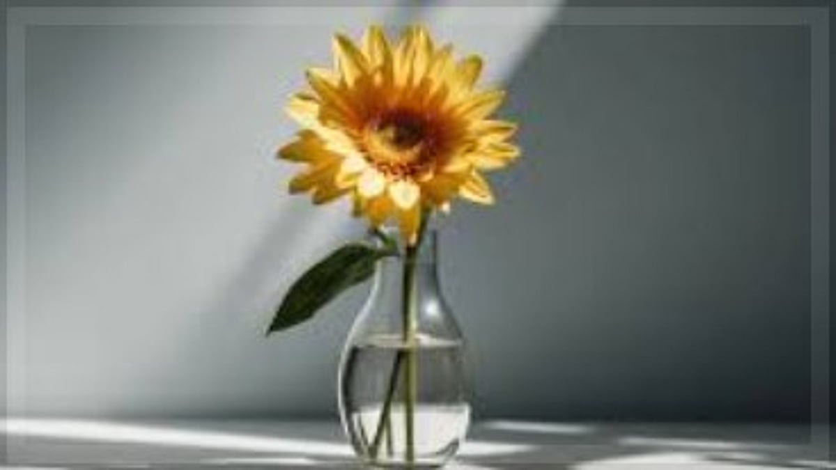 Rediscovering Life Beyond Screens: Embracing Simplicity in a Digital Age