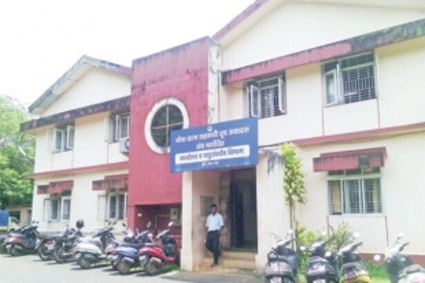 Reducing cattle-feed price will  cause loss: Goa Dairy Chairman