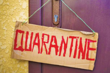 Reflection from the quarantine