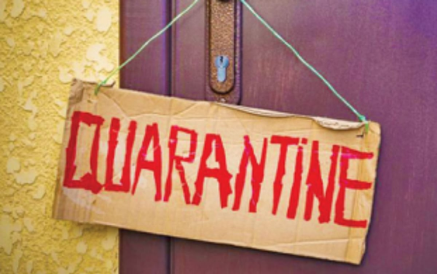 Reflection from the quarantine 1 Reflection from the quarantine
