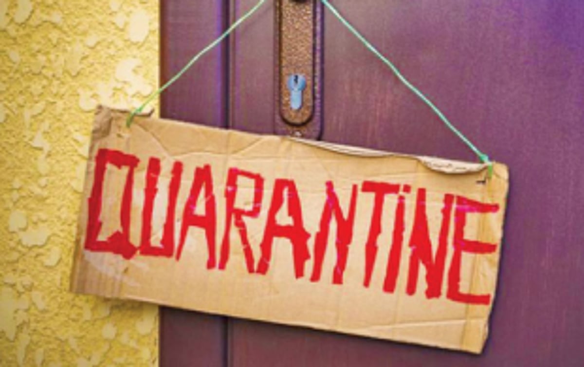 Reflection from the quarantine