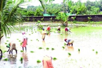 Reflections in the 39th year of Goa’s Statehood