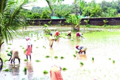 Reflections in the 39th year of Goa’s Statehood