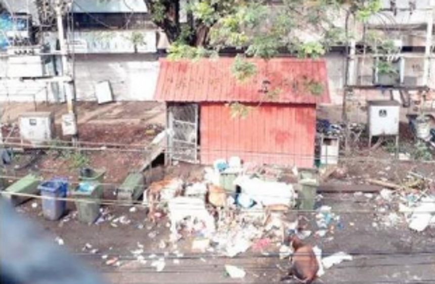 Relocate garbage collection point in Vasco