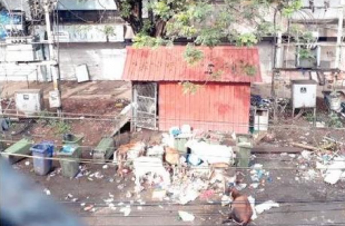 Relocate garbage collection  point in Vasco