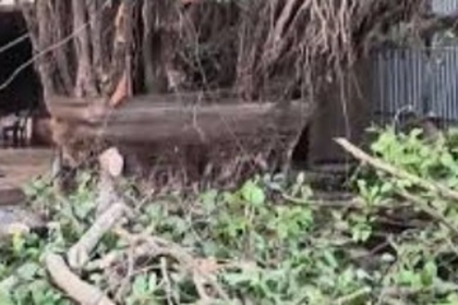 Relocation & Demolition of Centuries-Old Banyan Tree and Khapareshwar Temple Sparks Outrage in Porvorim