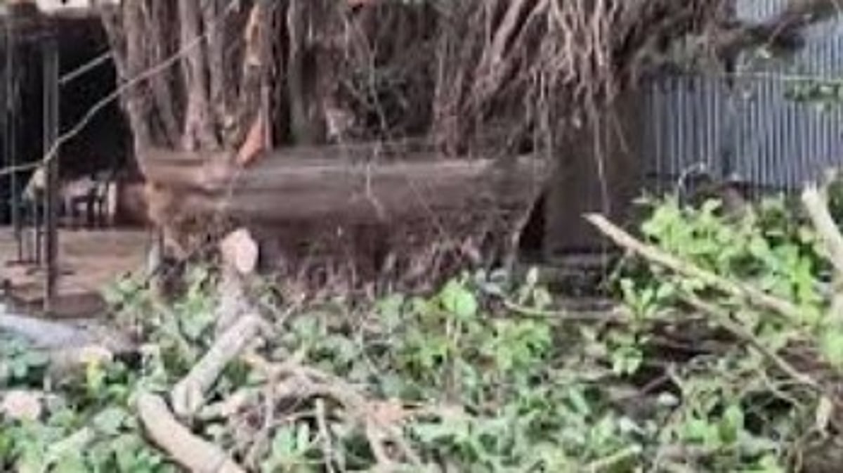 Relocation & Demolition of Centuries-Old Banyan Tree and Khapareshwar Temple Sparks Outrage in Porvorim