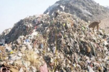 Remediation work of Sonsoddo  legacy dump to re-start in Oct