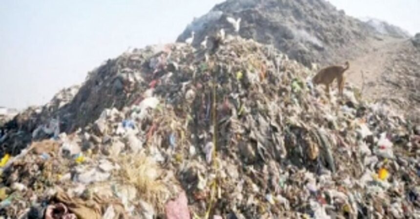 Remediation work of Sonsoddo  legacy dump to re-start in Oct