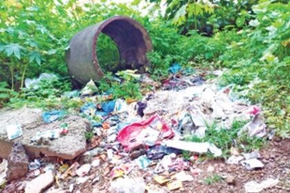 Remove unused concrete garbage bins in Vasco