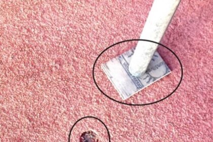 Renewed track damaged