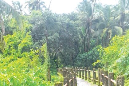 Repair Pondnir footbridge in public interest