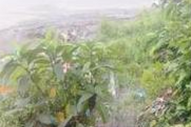 Repair broken water pipelines on priority  basis, don’t waste exchequer’s money