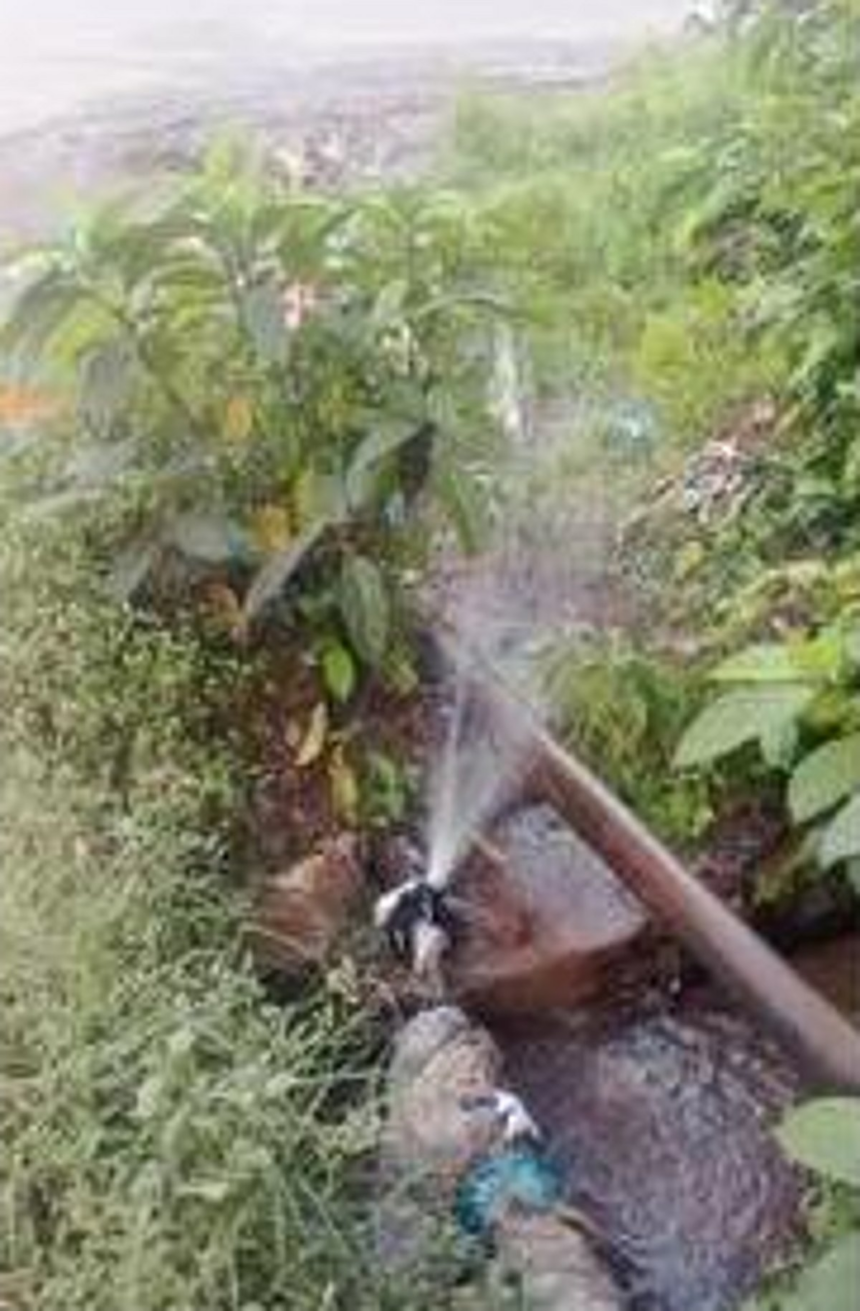 Repair broken water pipelines on priority  basis, don’t waste exchequer’s money