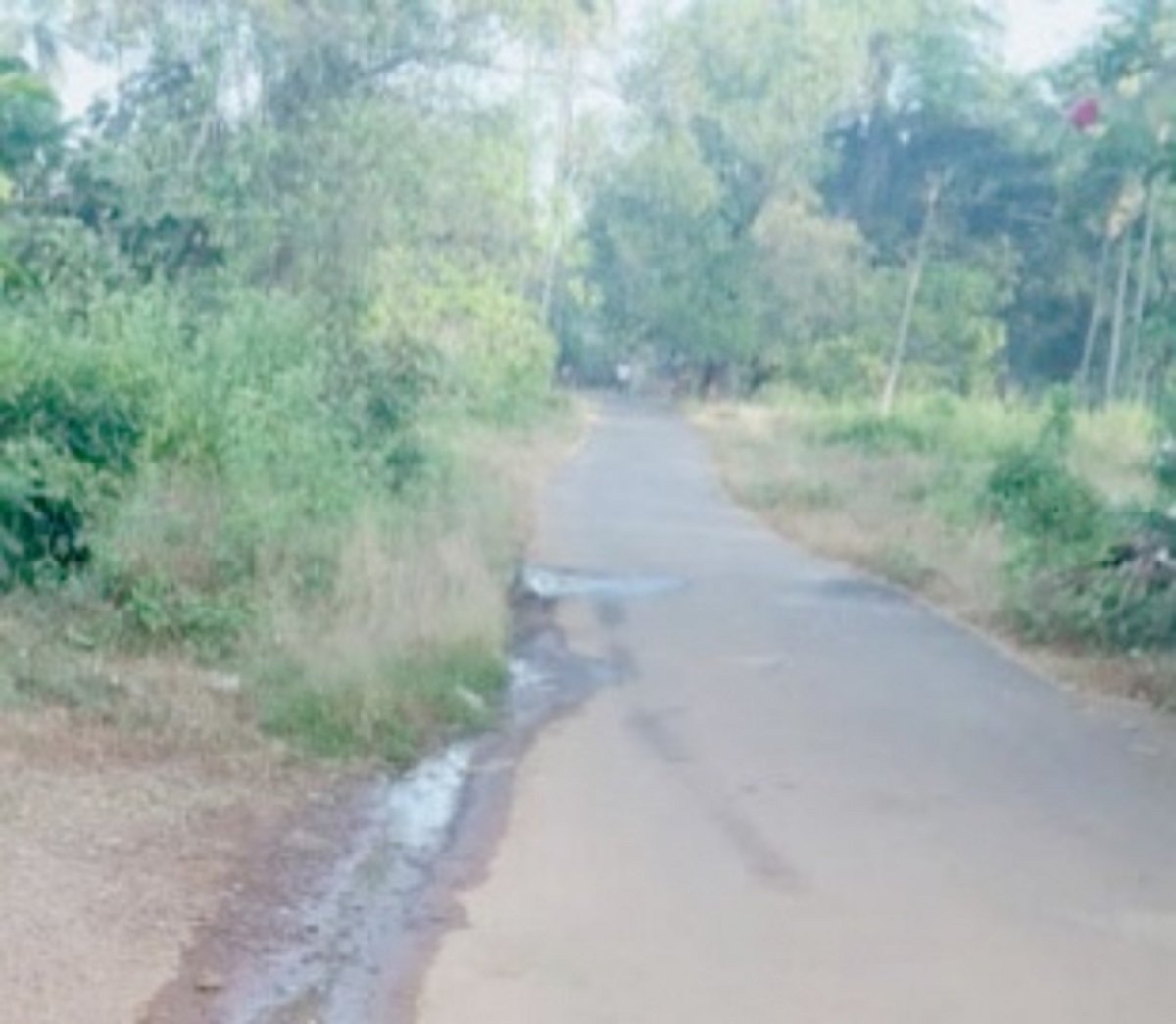 Repair damaged water pipeline soon, urges  Uguem panch