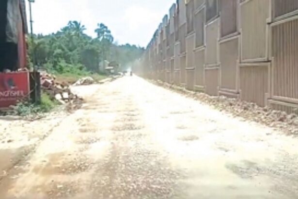 Repair of Torxem-Tamboxem service road before Chaturthi: locals