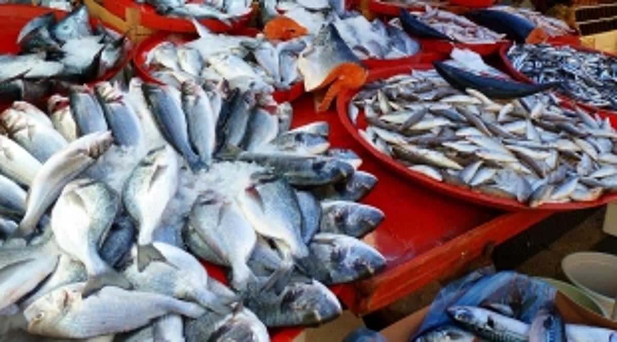 Report on naturally occurring formalin in fish after June 2020: FSSAI