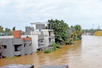 Rescuers battle treacherous conditions to rescue animals