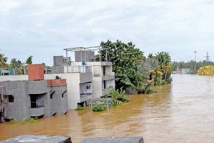 Rescuers battle treacherous conditions to rescue animals