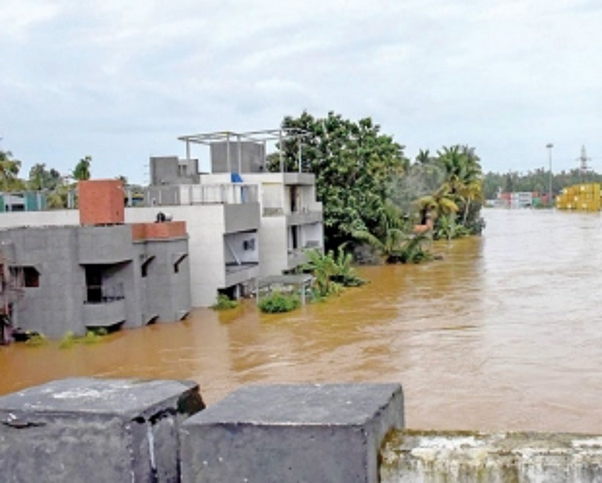 Rescuers battle treacherous conditions to rescue animals