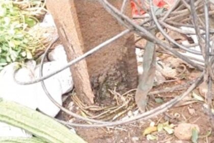 Residents call for immediate  replacement of hazardous electricity  pole at Rawanfond circle