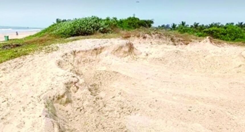 Residents fume over destruction  of sand dunes at Benaulim Beach
