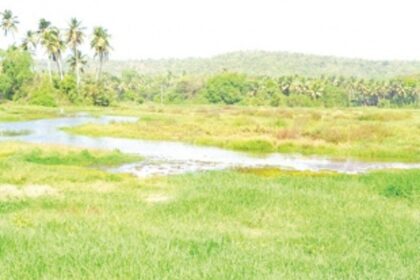 Restore Marna-Siolim fields