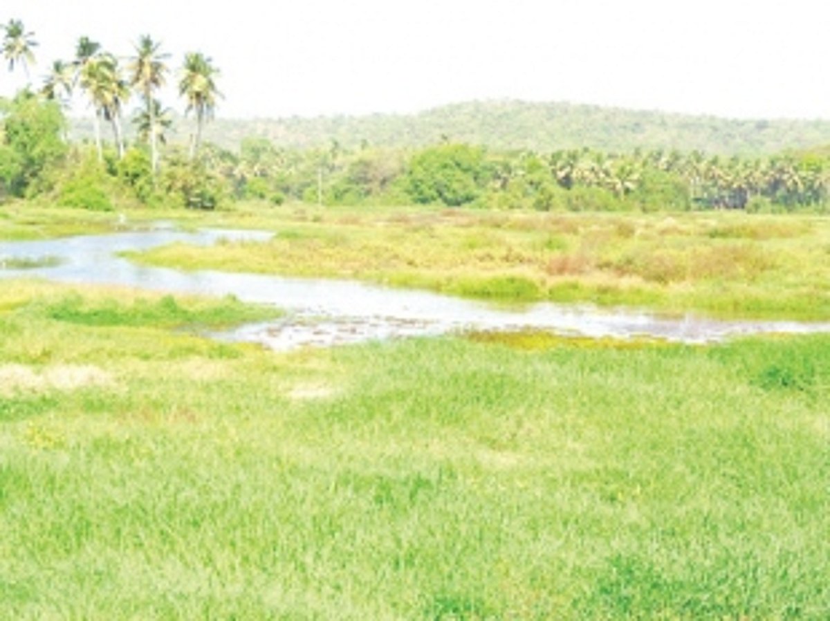 Restore Marna-Siolim fields