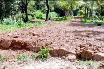 Restore dug-up land to original state, Cavelossim panchayat orders ex-cricketer Ashish Nehra