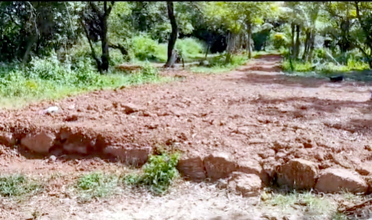 Restore dug-up land to original state, Cavelossim panchayat orders ex-cricketer Ashish Nehra
