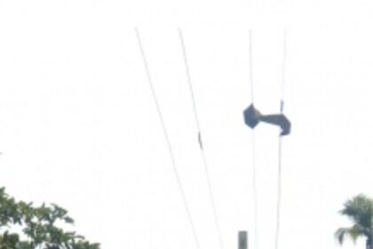 Restore the pathway lights