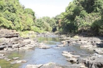 Restrain Karnataka from marching ahead  with diversion of Mhadei: Green activist