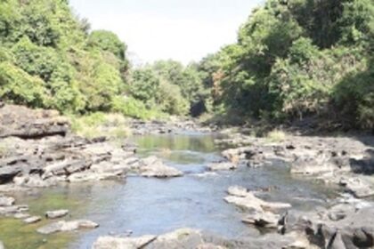 Restrain Karnataka from marching ahead  with diversion of Mhadei: Green activist