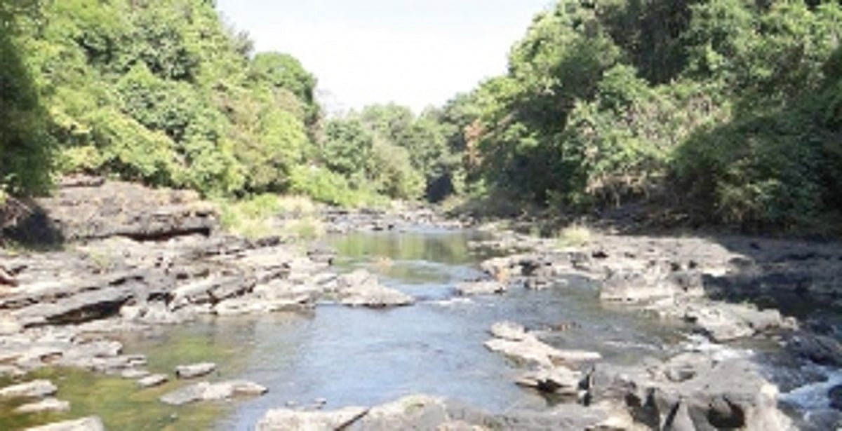 Restrain Karnataka from marching ahead  with diversion of Mhadei: Green activist