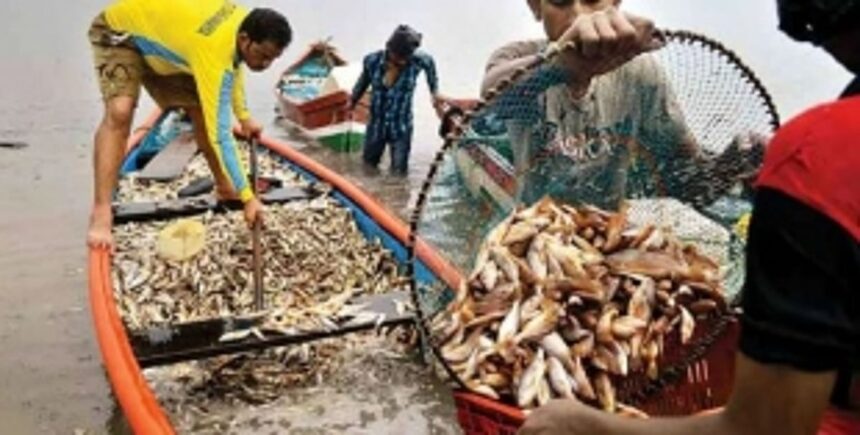 Restrict fish export, says St Cruz MLA