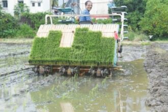 Resurgence of paddy cultivation in Goa through mechanisation