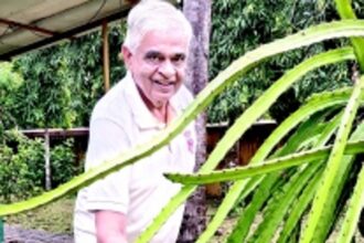 Retired seafarer, full-time farmer Dronby Fernandes’ agri-adventure in Curtorim