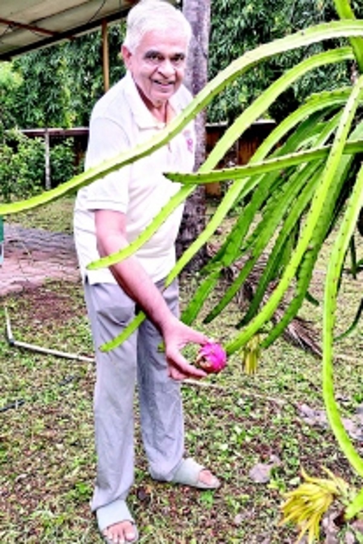 Retired seafarer, full-time farmer Dronby Fernandes’ agri-adventure in Curtorim