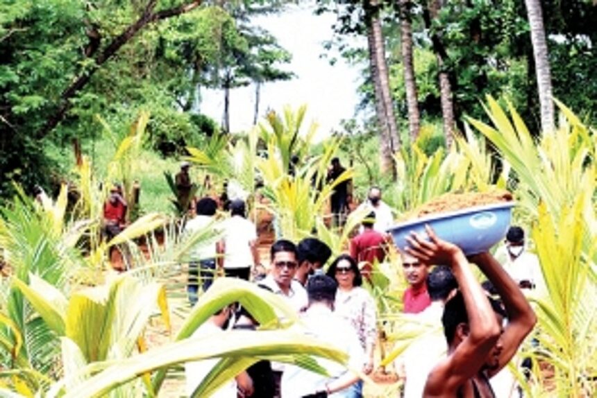 Revenue Min holds tree plantation drive