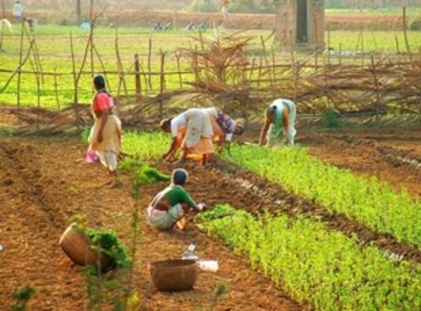 Revenue Min seeks details of Alvara land holders