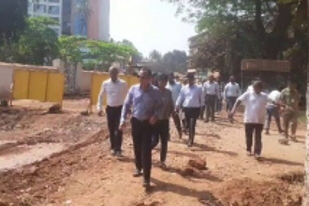 Revenue Minister inspects smart city works in St. Inez; seek public's cooperation amid work