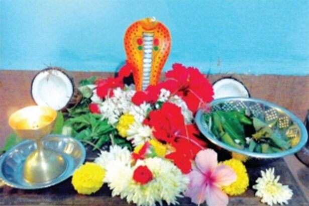 Revering the tradition of Naagpanchami