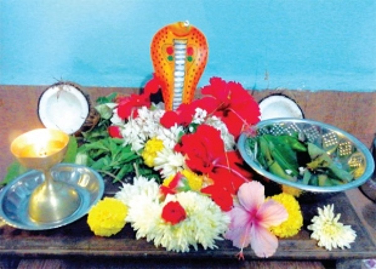 Revering the tradition of Naagpanchami