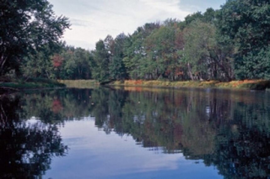 Revival of water conservation in forest areas commences 1 Revival of water conservation in forest areas commences