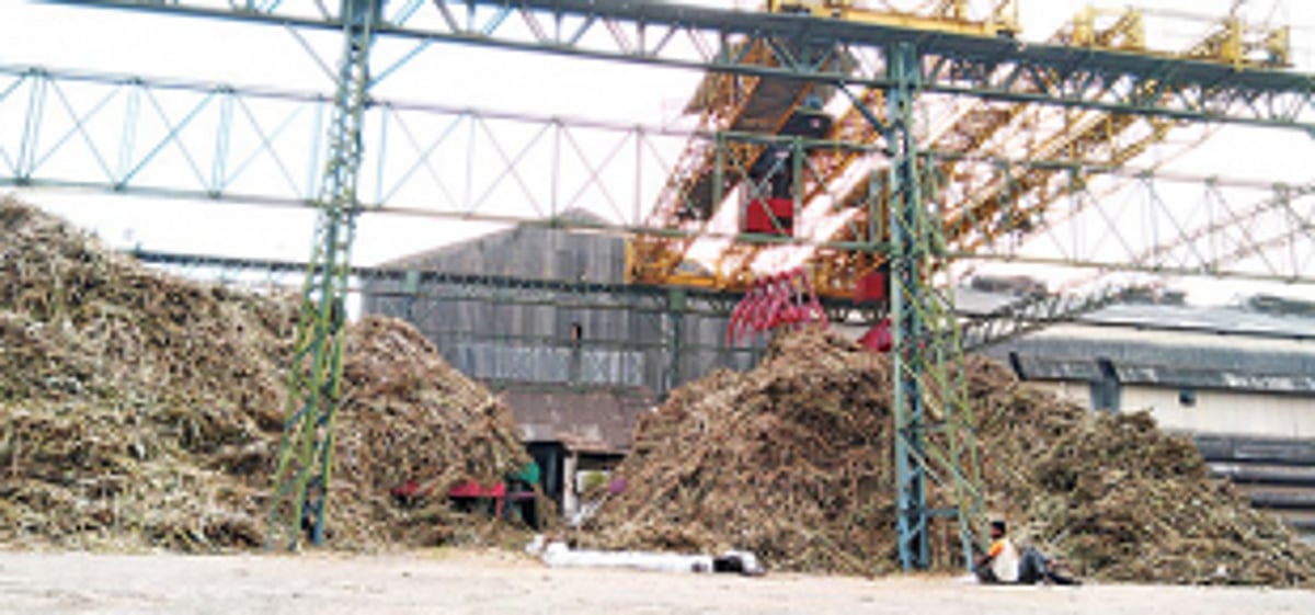 Revive Sanjivani, demands Cong