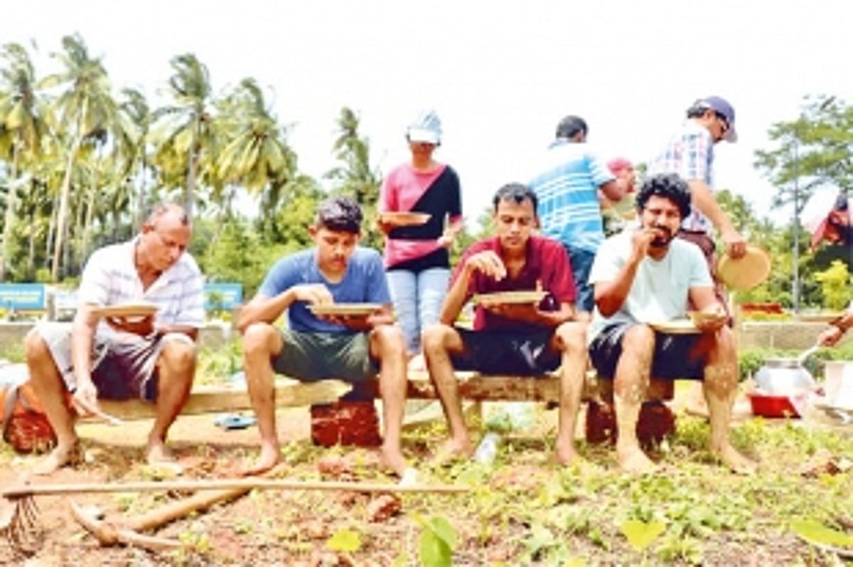 Revolutionary Goans sow paddy  on 600 square metres of land