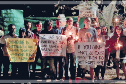 Rio Luxury Homes CEO Promises No More Tree Cutting After Oxel Protest